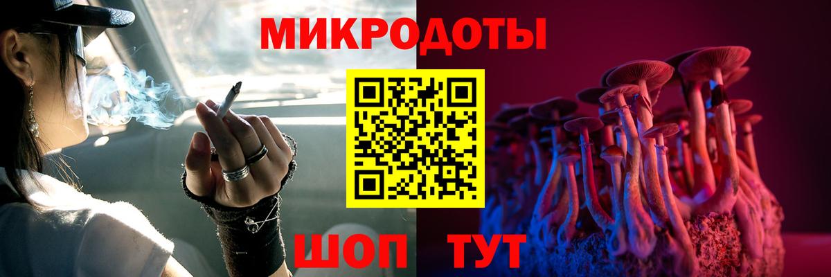 Галлюциногенные грибы мухоморы Артёмовский